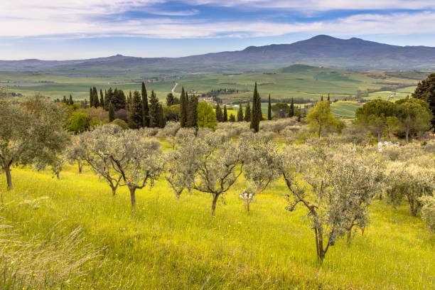 Colline della Valgraziosa nei pressi di Rezzano-Nicosia